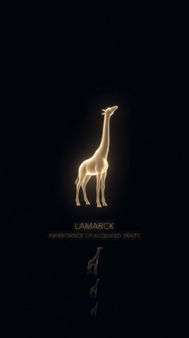 Ламарк. Жираф тянет шею