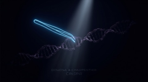 Даудна-Шарпантье. Ножницы CRISPR