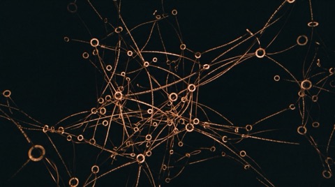 Кен Томпсон. Unix как философия